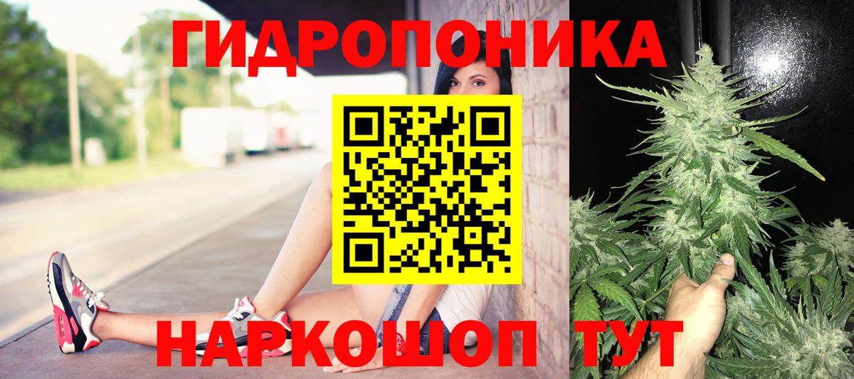 Шишки марихуана ГИДРОПОН  Марихуана планчик  Марихуана Amnesia  Славгород  Каннабис план  Вход с VPN 